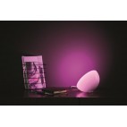 Philips Hue Go