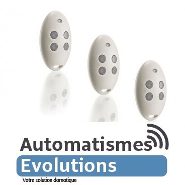 Lot de 3 télécommandes 4 canaux RTR somfy siminor Lot de 3 télécommandes 4 canaux RTR somfy siminor